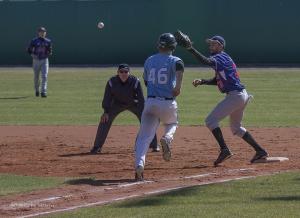 baseball praga 14 r